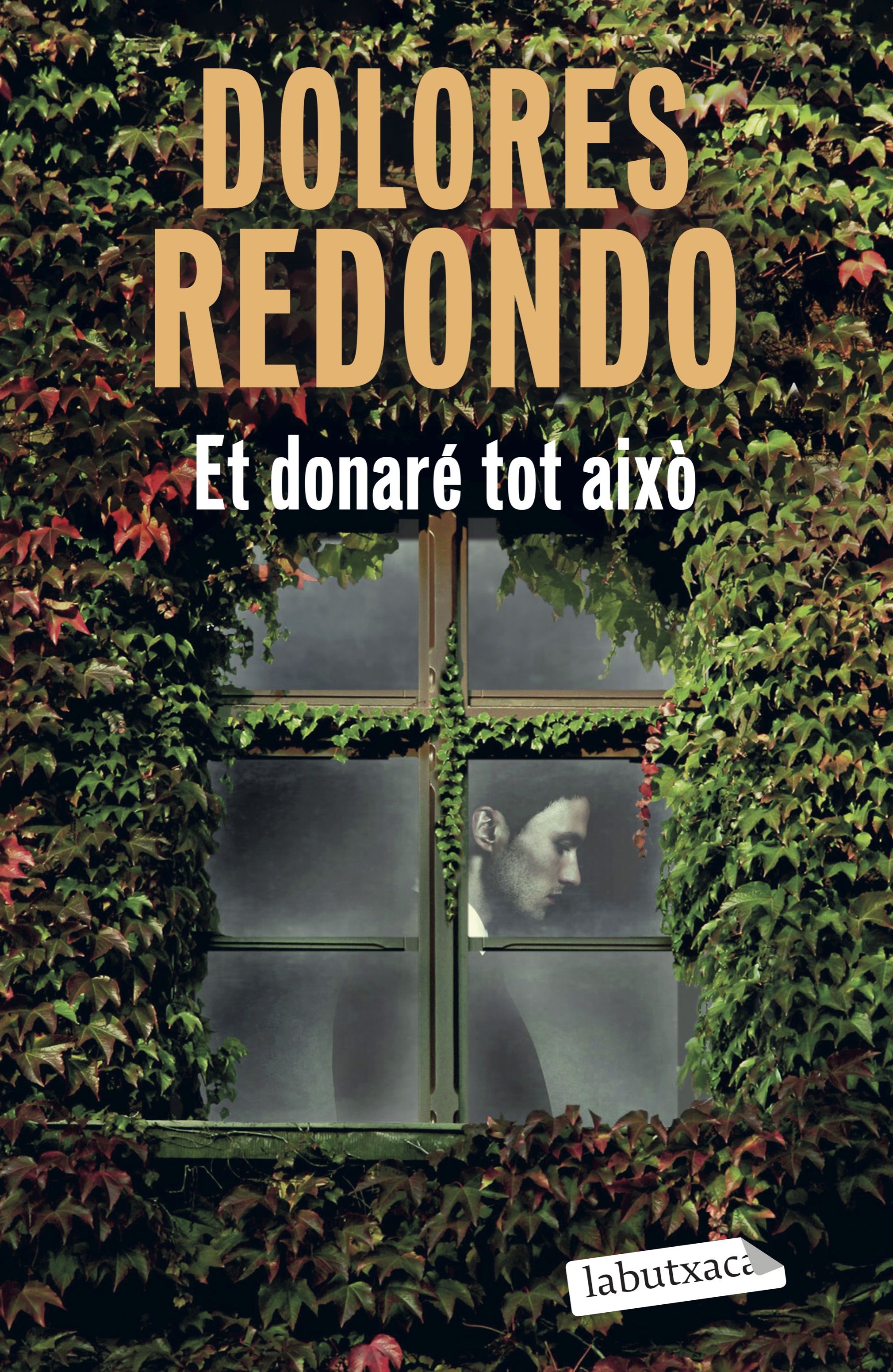 Portada Et donaré tot això