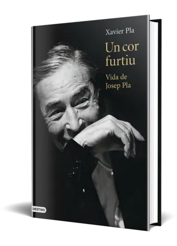 Portada Un cor furtiu