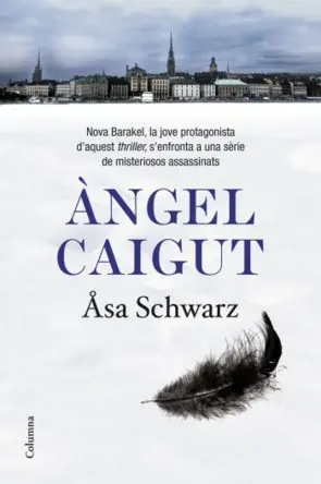 Portada Àngel caigut