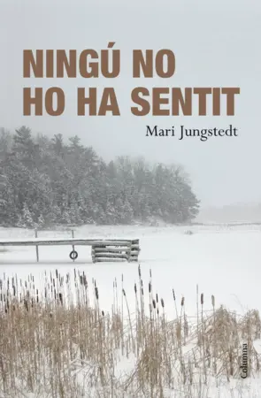 Portada Ningú no ho ha sentit