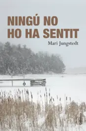 Portada Ningú no ho ha sentit