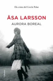 Portada Aurora boreal