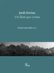 Portada Un llum que crema