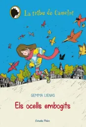 Portada 11. El misteri dels ocells embogits