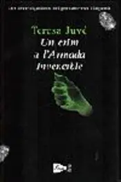Portada Un crim a l'Armada Invencible