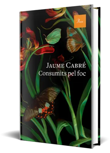 Portada Consumits pel foc