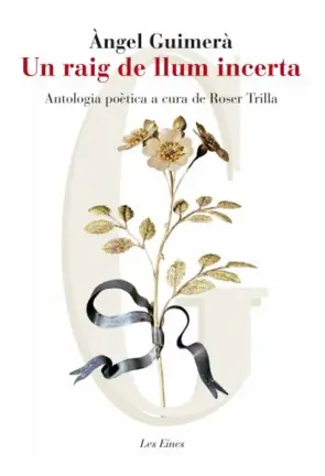 Portada Un raig de llum incerta. Antologia poètica