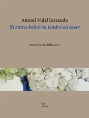 Portada Si entra boira no tendré on anar