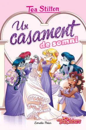 Portada Un casament de somni