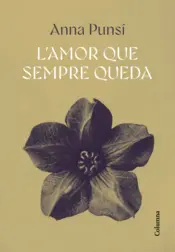 Portada L'amor que sempre queda