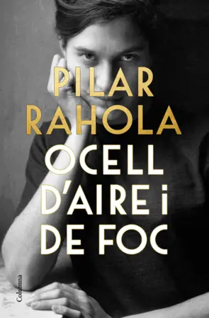 Portada Ocell d'aire i de foc