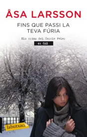 Portada Fins que passi la teva fúria