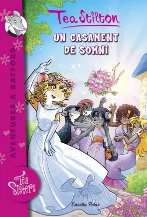 Portada Un casament de somni