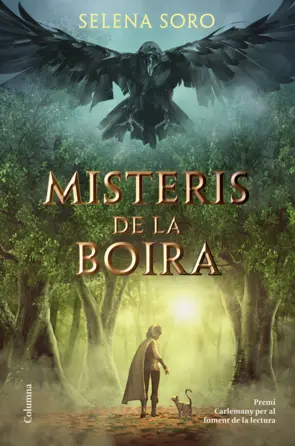 Portada Misteris de la boira