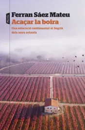 Portada Acaçar la boira