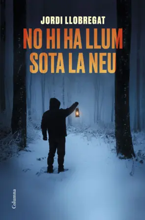Portada No hi ha llum sota la neu