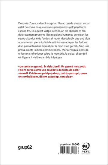 Contraportada L'àngel que em mira