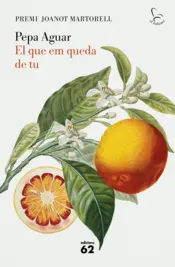 Portada El que em queda de tu