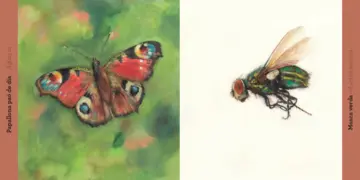 Imatge extra Animals 0