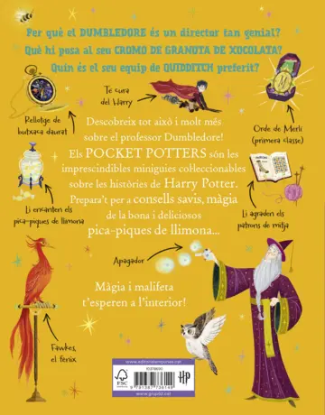 Contraportada Professor Dumbledore (Pocket Potters 4)