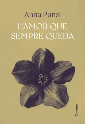Portada L'amor que sempre queda