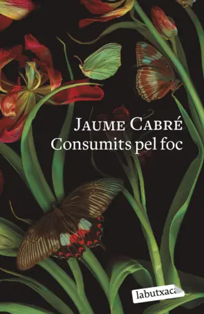 Portada Consumits pel foc