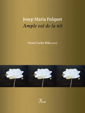 Portada Ample vol de la nit