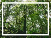 MiniaturaCanvi climàtic i medi ambient